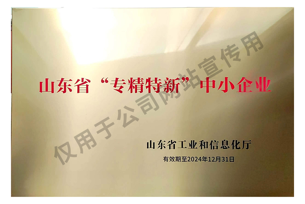 2021-山東省專(zhuān)精特新企業(yè)